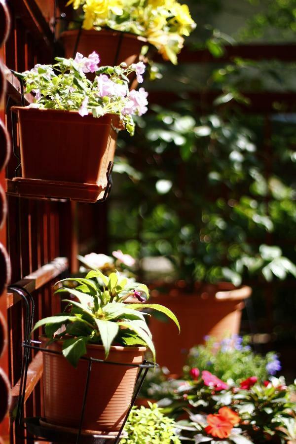 Apartamento Downtown Garden Isle In Urban Style-Free Parking Budapest Exterior foto